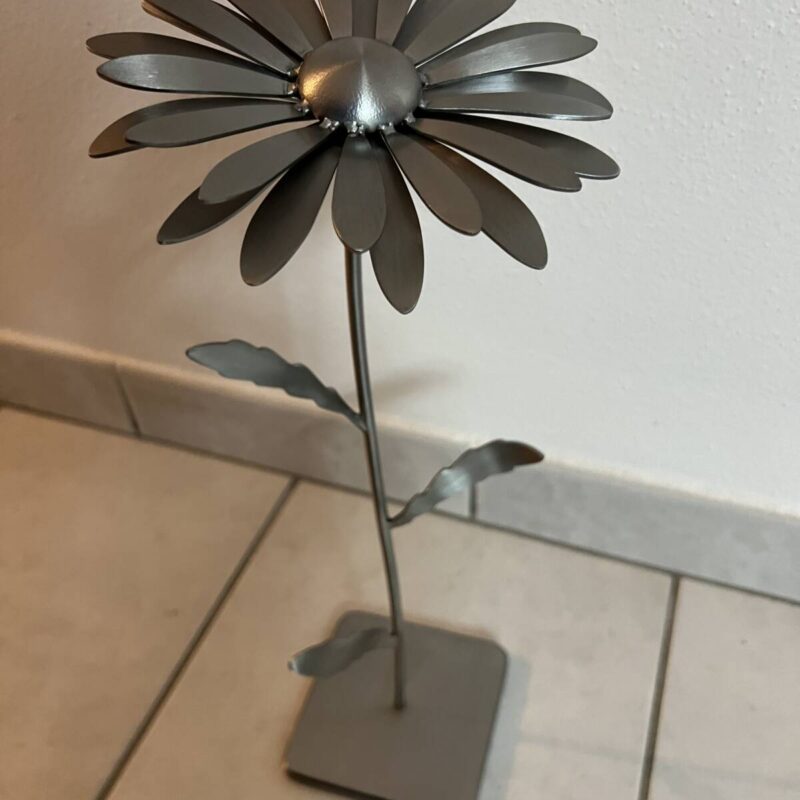 LITZLERINOX67 800X800 | Litzlerinox Photos page d’accueil Mulhouse 11