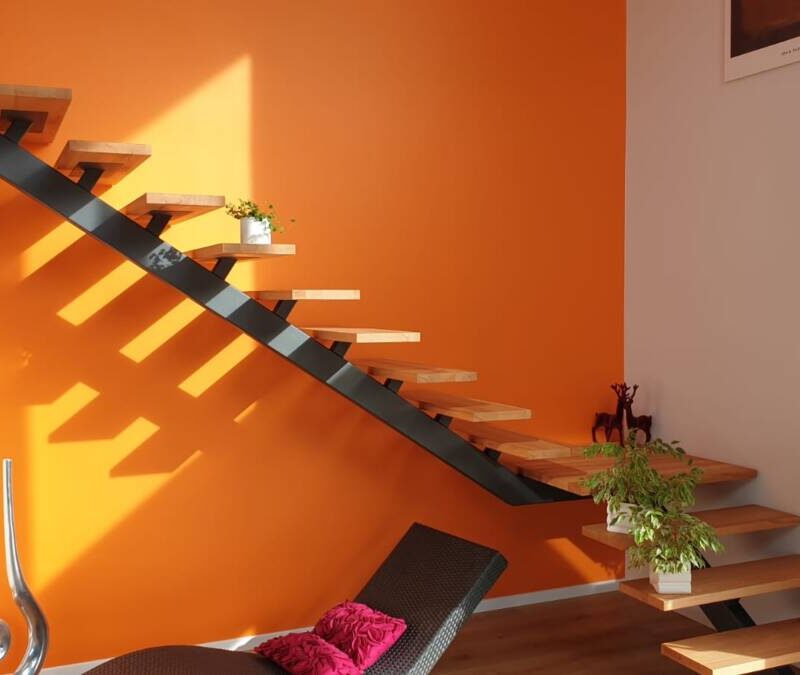 LITZLERINOX92 800X675 | Litzlerinox Photos page d’accueil Rixheim 2